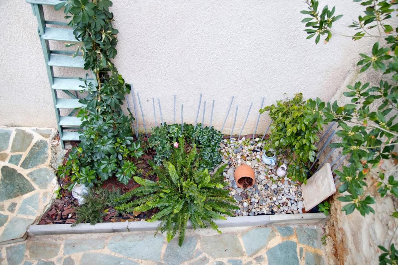 Aroura Homes Garden House 2Br 2Ba Free Parking Athena Bagian luar foto